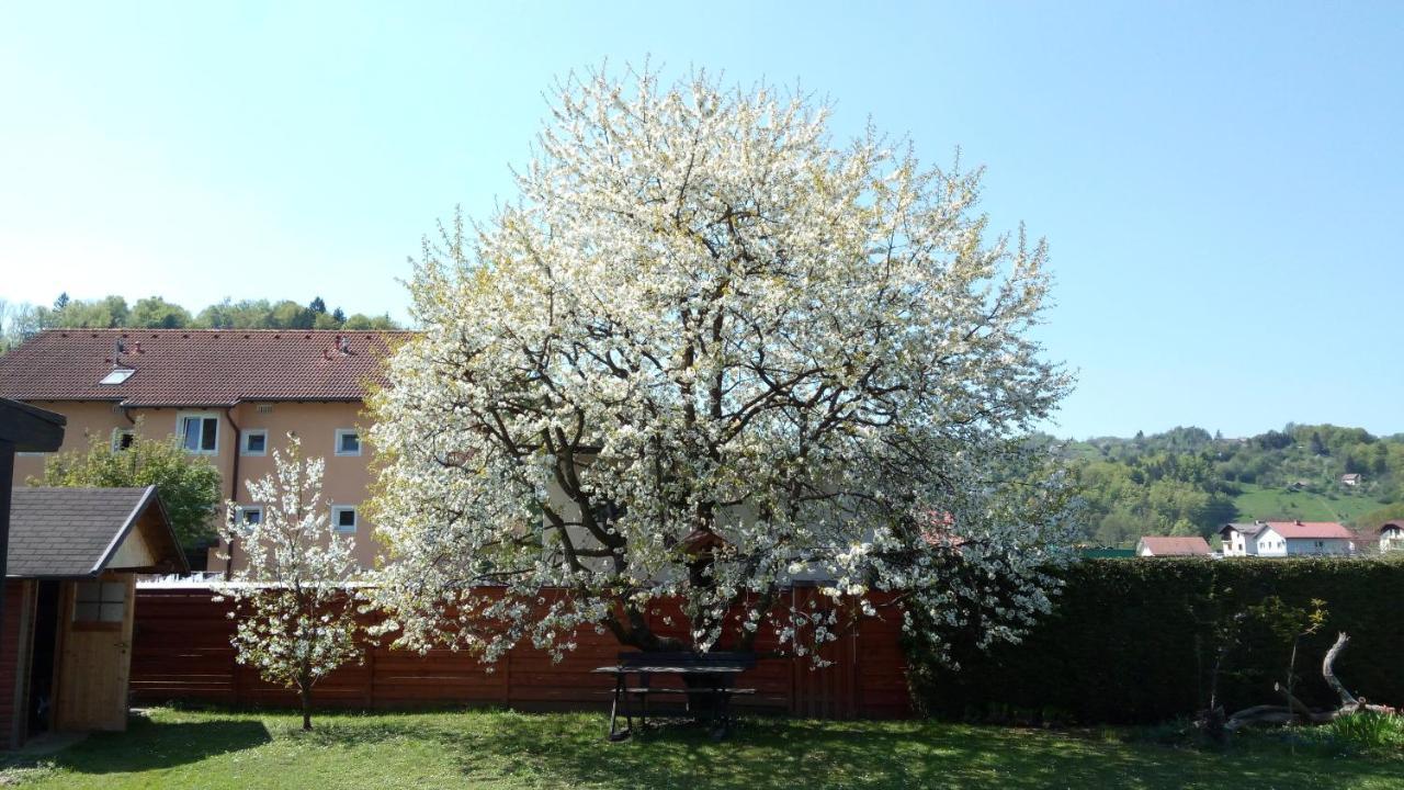 Apartma Golob Zgornja Kungota Luaran gambar